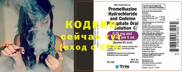 шишки Абаза